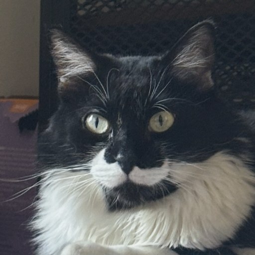 Xena